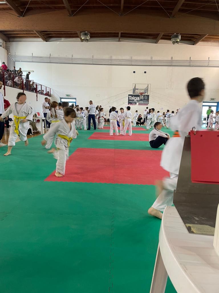 judo_urbisaglia-3